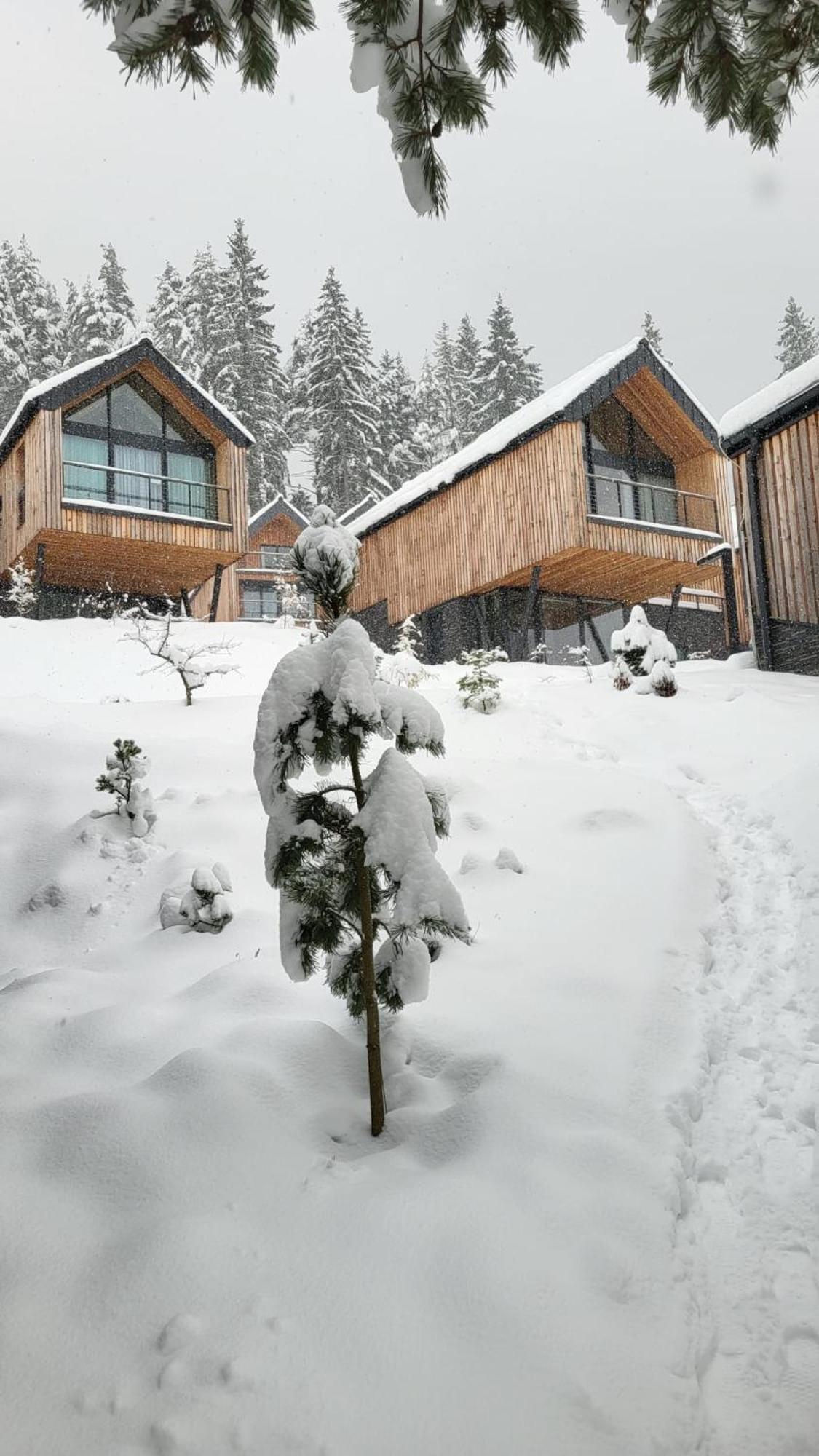 Apartman Freya Liptovský Mikuláš Exterior foto